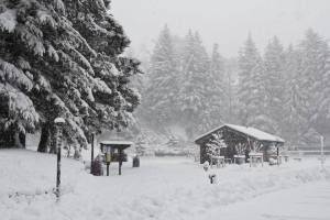 Cope Park may be the new home of Juneaus first bike skills park if a plan between the City and Borough of Juneau Parks and Recreation Department and the Juneau Mountain Bike Alliance comes to fruition, Jan. 30, 2020. (Michael S. Lockett | Juneau Empire)