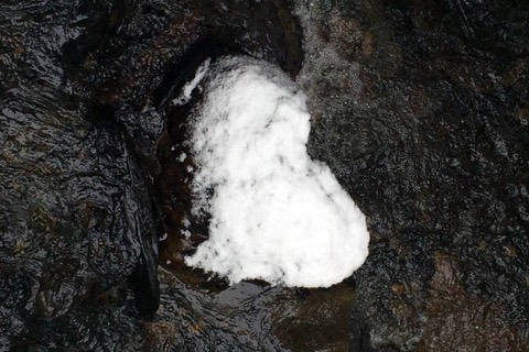 A snow-shaped heart appears on a rock in Paris Creek, Douglas, on Valentines Day, Feb. 14. (Courtesy photos | Sandy R. Williams)