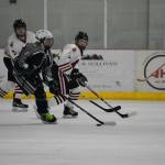 The Juneau Crimson Bears played the Soldotna Stars at Treadwell Arena on Friday. (Peter Segall | Juneau Empire)