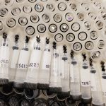 Sample Delight by Michelle Morris was made mainly using hand-sewn sample tubes and caps. Morris said many thought the top of the piece was made using sequins material, but a close look shows inverted caps with beads. (Courtesy Photo | Michelle Morris)