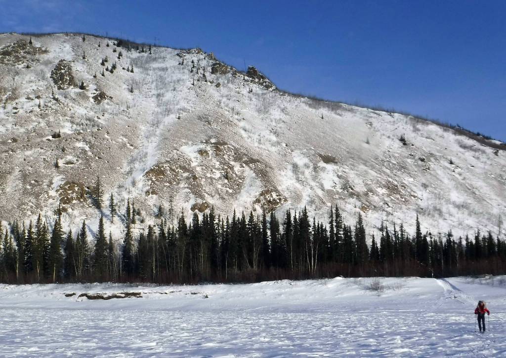 Bob Gillis skis away from Nation Bluff, near where the Nation River flows into the Yukon River. (Ned Rozell | For the Juneau Empire)