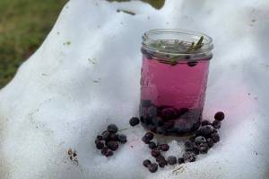 photos by Vivian Faith Prescott | For the Capital City Weekly                                 Blueberry water provides memories of warmer seasons during winter in Wrangell.