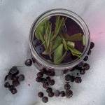 Blueberry water steeps.