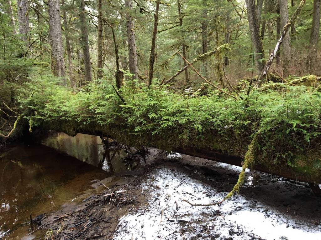 Wild Shots: Photos of Mother Nature in Alaska