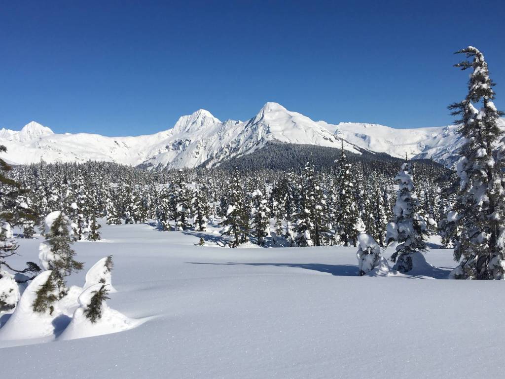 Wild Shots: Photos of Mother Nature in Alaska