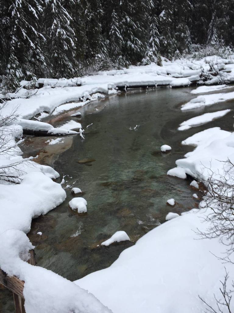 Right: A slough works its way through snow and ice along Windfall Lake trail on Feb. 26. (Courtesy Photo | Denise Carroll)
