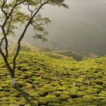 Courtesy Photo | Bob Sacha                                 The Alaska State Museum opens Rarefied Light, a statewide juried photography exhibit organized by The Alaska Photographic Center on Friday.