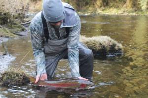 Staying safe when soaked