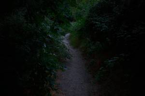 Living & Growing: I was not alone during my scary walk in the dark