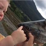 Vivian Faith Prescott | For the Capital City Weekly                                 Grandson Jonah Hurst examines a salmon head.