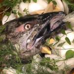 Planet Alaska: An immune system boost from salmon head soup