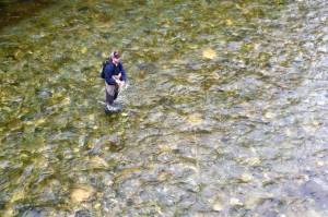 Jeff Lund | For the Juneau Empire                                 Upon arriving in California, Jeff Lund immediately drove to the isolated reaches of the Upper Sacramento to practice social distancing and to find some trout.