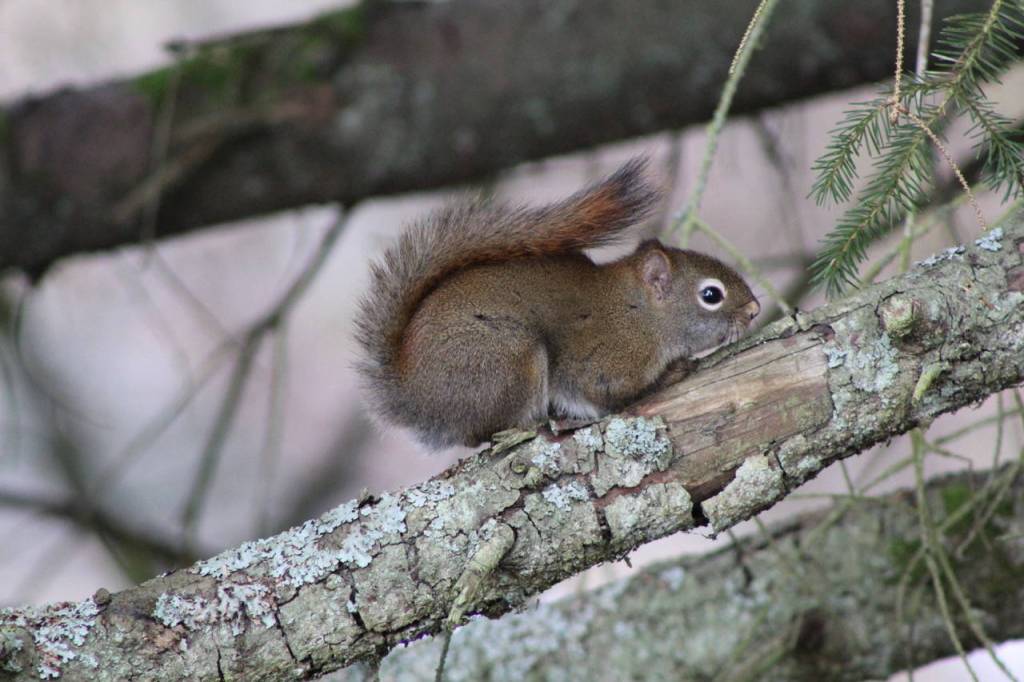 Wild Shots: Photos of Mother Nature in Alaska