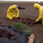 Lessons from dusty, stinky bones