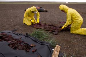 Lessons from dusty, stinky bones