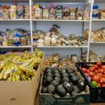 Fresh produce and bread were on hand at the Southeast Alaska Food Bank on Crazy Horse Drive on Tuesday, Oct. 15, 2019. (Michael Penn | Juneau Empire File)