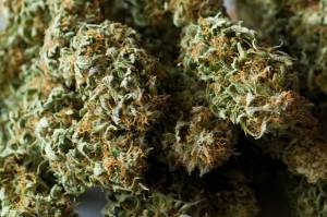Michael Penn | Juneau Empire File                                 About 2½ oz. of dried marijuana is weighed in this 2015 photo.