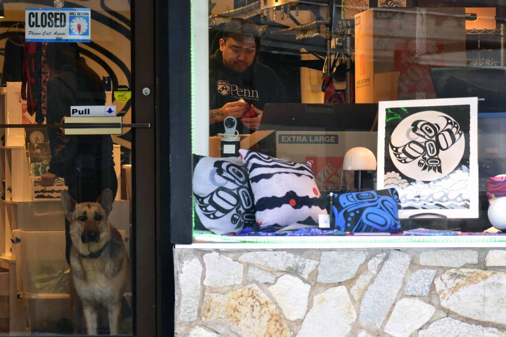 Peter Segall | Juneau Empire                                 A dog stands at the door of the Trickster Company store on Front Street in downtown Juneau while people unload boxes. Some businesses have been able to keep the online side of their businesses operating even as their doors remain closed to the public. Friday, April 24, 2020.