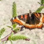 Spring is really here now