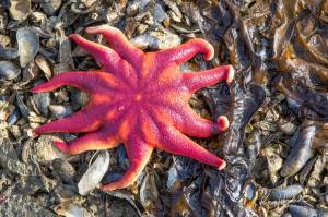 A new month brings vibrant colors to the outdoors