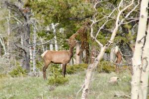 Seeing and hearing things while isolating outside