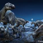 Courtesy Image | Masato Hattori                                 An artists rendering depicts a duck-billed, plant-eating dinosaur that was once common from Alaska to Colorado.