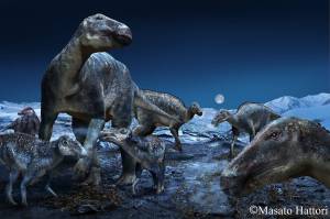 Duck-billed dinos stomped across the land bridge