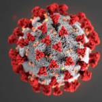 COVID-19, shown here, can put children at risk in ways that go beyond the diseases symptoms. (Courtesy Photo | Centers for Disease Control and Prevention)