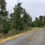 This is a pull-through at the lungs-of-the-island.