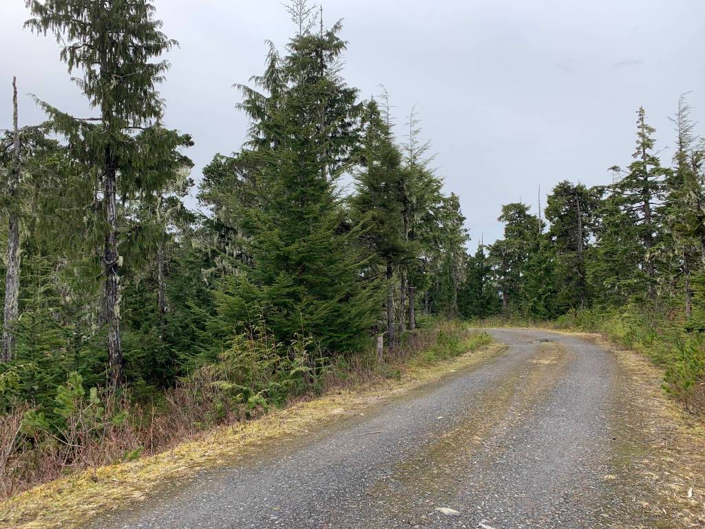 This is a pull-through at the lungs-of-the-island.