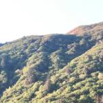 Person taken to hospital after paraglider stranded on Mount Roberts