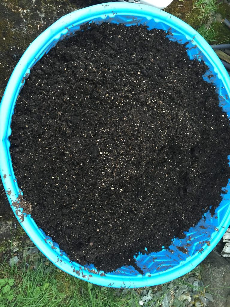 Planet Alaska: Pandemic gardening follies