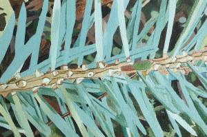 For First Friday, artist Crystal Cudworth will hold a one-hour long First Friday virtual workshop that will offer tips on how to assemble a canvas and basic rules necessary to begin an archival painting.(Courtesy Photo | Crystal Cudworth)