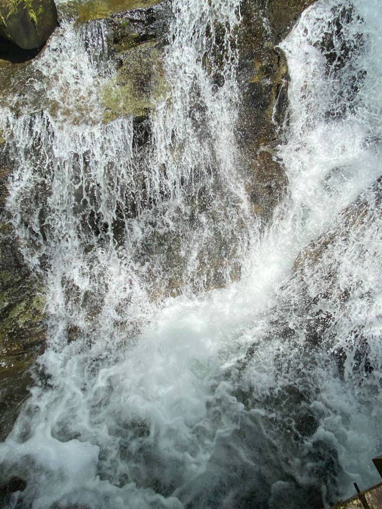 Little Sheep Creek Falls along Dupont trail is seen in this June 12, 2020 photo. (Courtesy Photo | Denise Carroll)