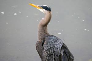 Wild Shots: Photos of Mother Nature in Alaska
