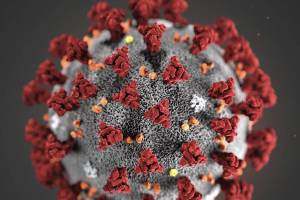 State reports 29 new COVID-19 cases