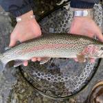 Triston Chaney holds a Bristol Bay rainbow trout. (Courtesy Photo | Triston Chaney)