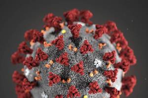 This illustration provided by the Centers for Disease Control and Prevention in January 2020 shows the 2019 Novel Coronavirus. This virus was identified as the cause of an outbreak of respiratory illness first detected in Wuhan, China.