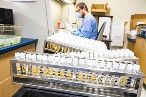 State sets another daily record with 231 new virus cases Sunday