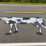 This cow painting as seen on July 24, 2020. adorns the North Douglas Highway (not Old Dairy Road). (Courtesy Photo / Denise Carroll)