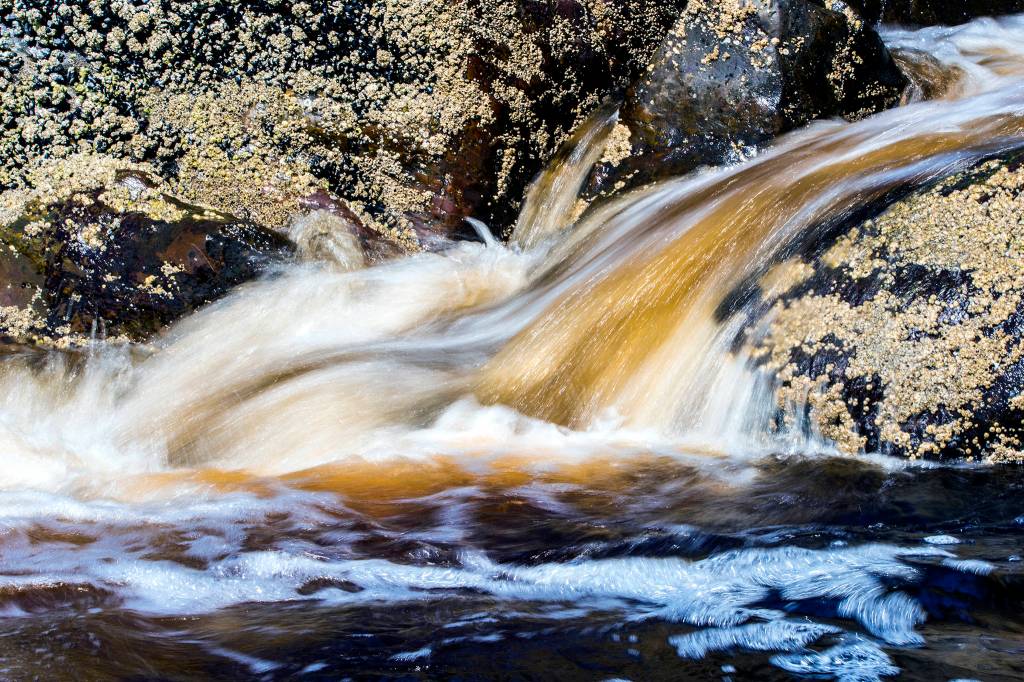 This photo taken July 30, 2020, shows the salt chuck with no visible fish. Maybe theyre late this year, Ive only counted a handful in my four visits this week, writes Kenneth Gill. (Courtesy Photo / Kenneth Gill, gillfoto)