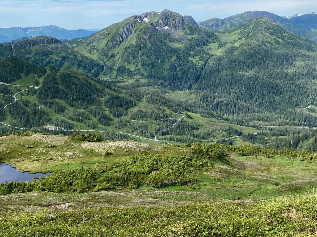 Eaglecrest ski slopes as seen in July from the top of Mount Troy on July 31, 2020. (Courtesy Photo / Denise Carroll)
