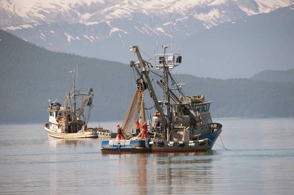 A local seine boat brings in the purse net by the salt chuck near Amalga Harbor. (Courtesy Photo / Kenneth Gill, gillfoto)