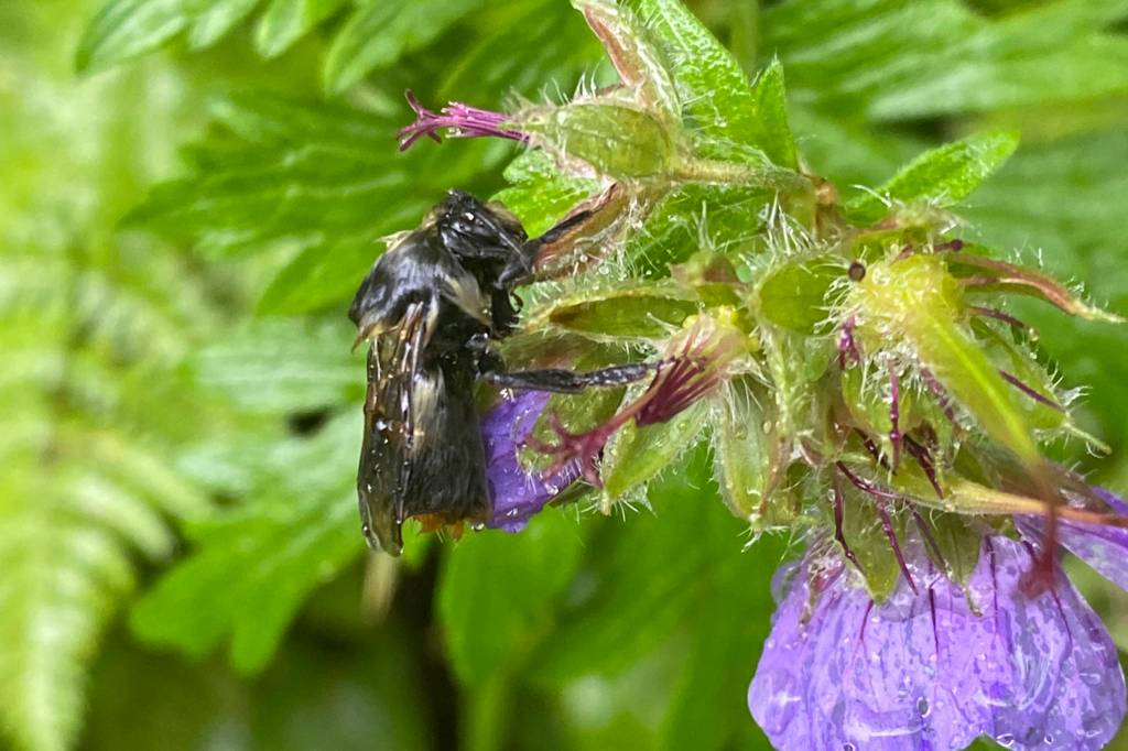 Wild Shots: Photos of Mother Nature in Alaska