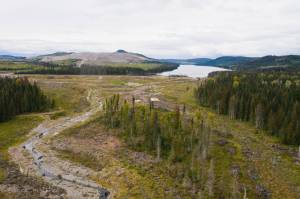 Opinion: We are poisoning our future. There’s a better way.