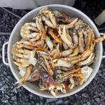 Cleaned crab is about to be cooked at Mickeys Fishcamp in Wrangell. (Vivian Faith Prescott / For the Capital City Weekly)