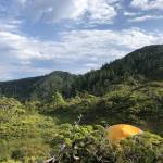 Frustration is part of hunting, but only a fool would let it ruin the entire experience. (Jeff Lund / for the Juneau Empire)