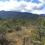 More than 13 acres of land on North Douglas now owned by Southeast Alaska Lad Trust and known as the Grummett Wetlands will be open to the public for passive recreation. That includes activities such as hiking, birding and exploring. (Courtesy Photo / Southeast Alaska Land Trust)