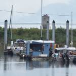 It was a quiet morning at the Mike Pusich Douglas Harbor on the first day of the 2020 Golden North Salmon Derby, Friday, Aug. 14, 2020. Volunteers manning the weigh station said not many people had turned in fish yet, but expected activity to pick up once people were off work. (Peter Segall / Juneau Empire)