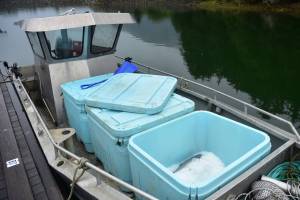 Derby starts slow, but first fish has been caught